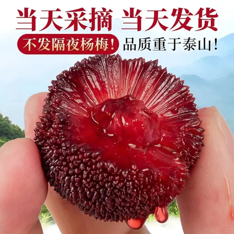 顺丰甄选【仙居东魁杨梅】正宗仙居东魁杨梅2/4/6盒 新鲜采摘现货