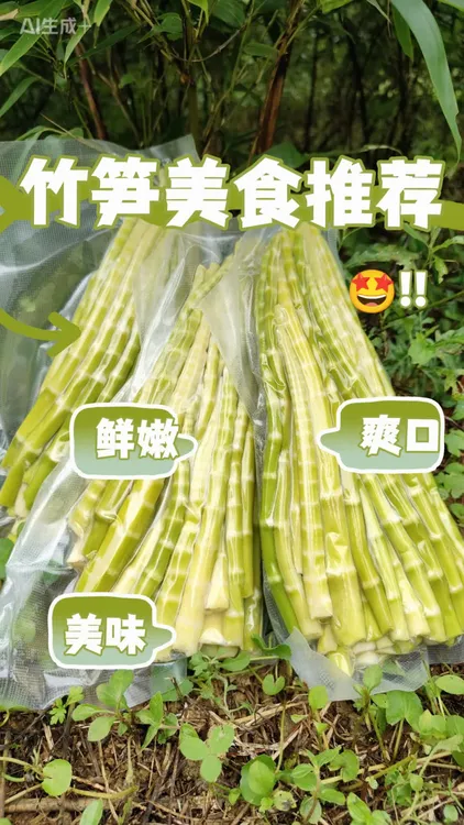 镇雄竹笋之乡碗厂新鲜现打竹笋炒菜炖汤带盐煮过真空包装发货