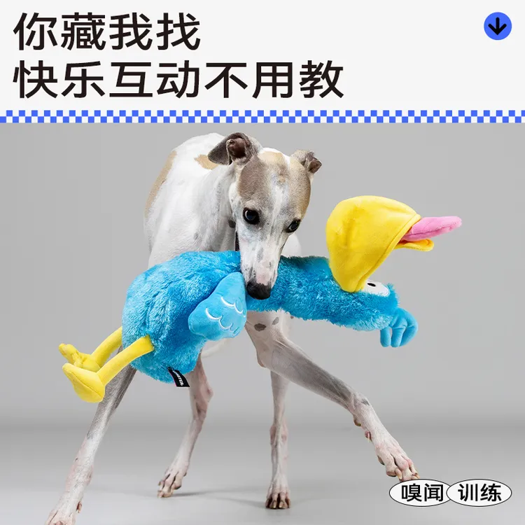 QMONSTER【新品】哒哒鸟宠物狗狗玩具藏食益智发声玩具磨牙耐咬