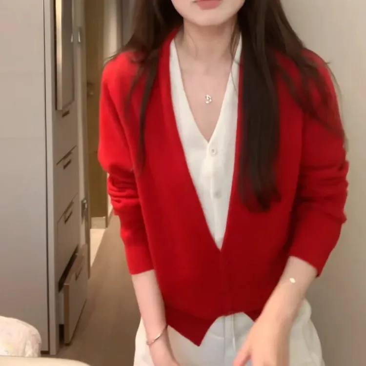 2025秋冬温柔气质内搭外穿毛衣高级感撞色假两件V领针织开衫上衣