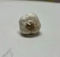苍山大蒜纯四瓣，颗颗饱满香辣脆粘