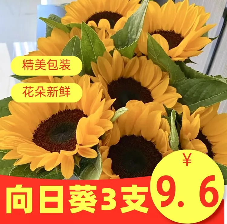 向日葵鲜花基地直发适合家养水养插花花束