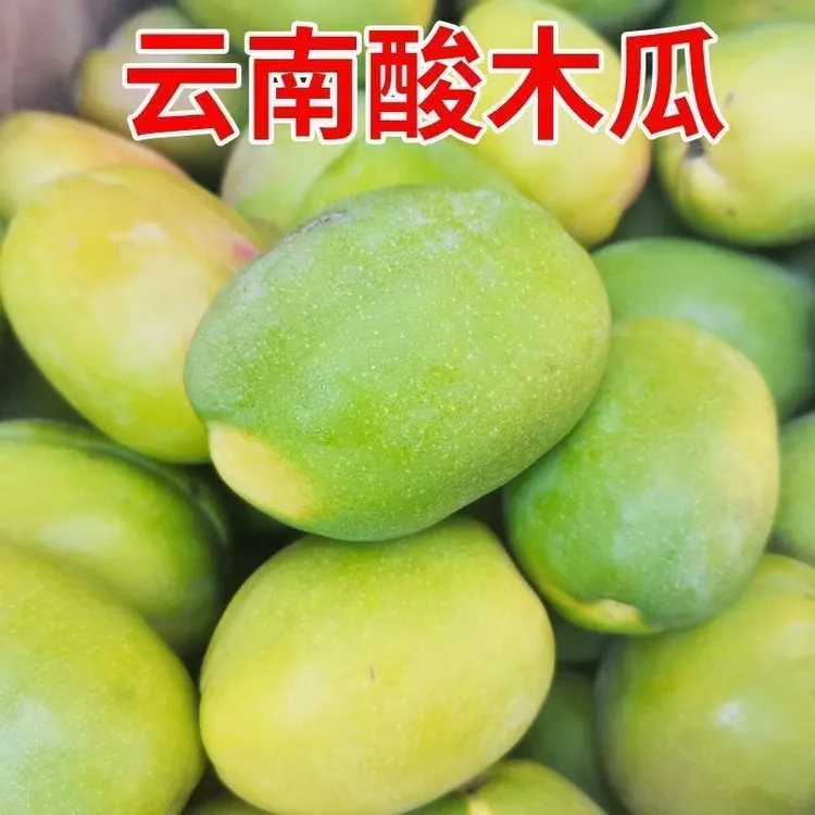 云南酸木瓜新鲜野生老品种酸木瓜青木瓜泡酒孕妇酸水果炖鸡炖鱼