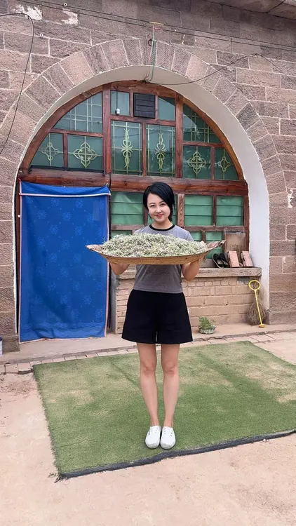 野生泽蒙花 陕北山野奇香