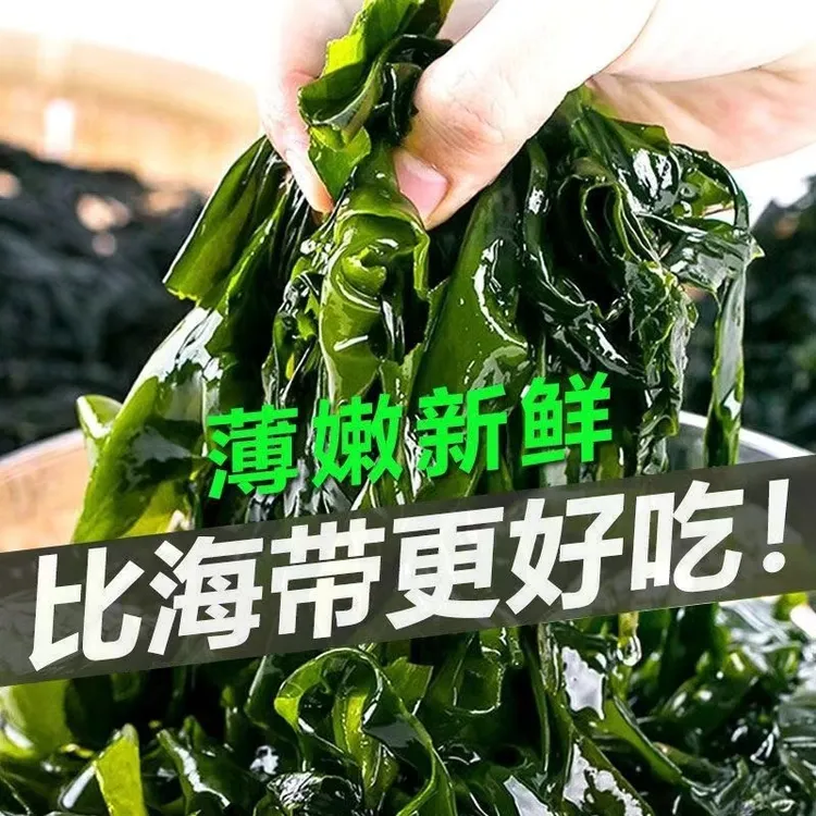 精选盐渍海带菜口感细腻鲜嫩裙带菜