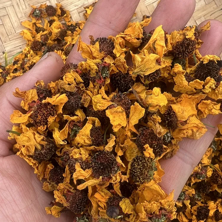 西藏雪菊花茶西藏发货