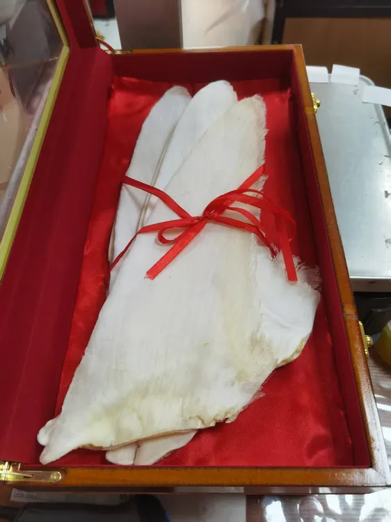 乌羊翅特大14-16寸足干特级鱼翅高档礼盒装宴席送礼高端干货海鲜