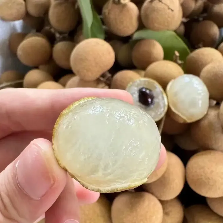 石硖龙眼8.8斤净果(顺丰加冰低温泡沫箱发货)水果