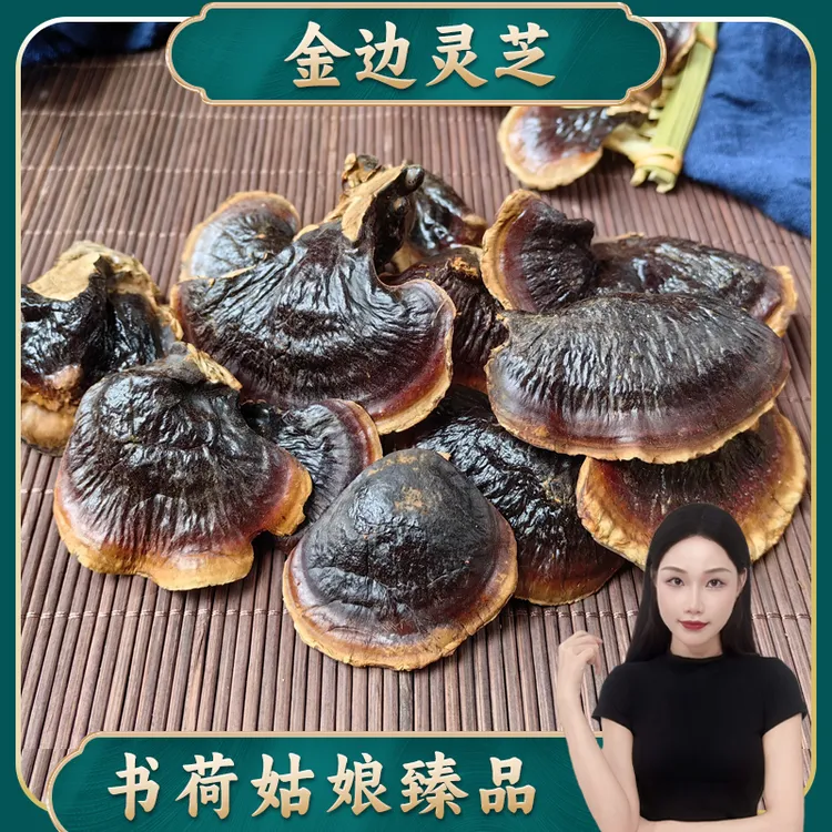 金边灵芝仙草 菌香甘甜不苦泡茶煲汤煮水网红仙芝草