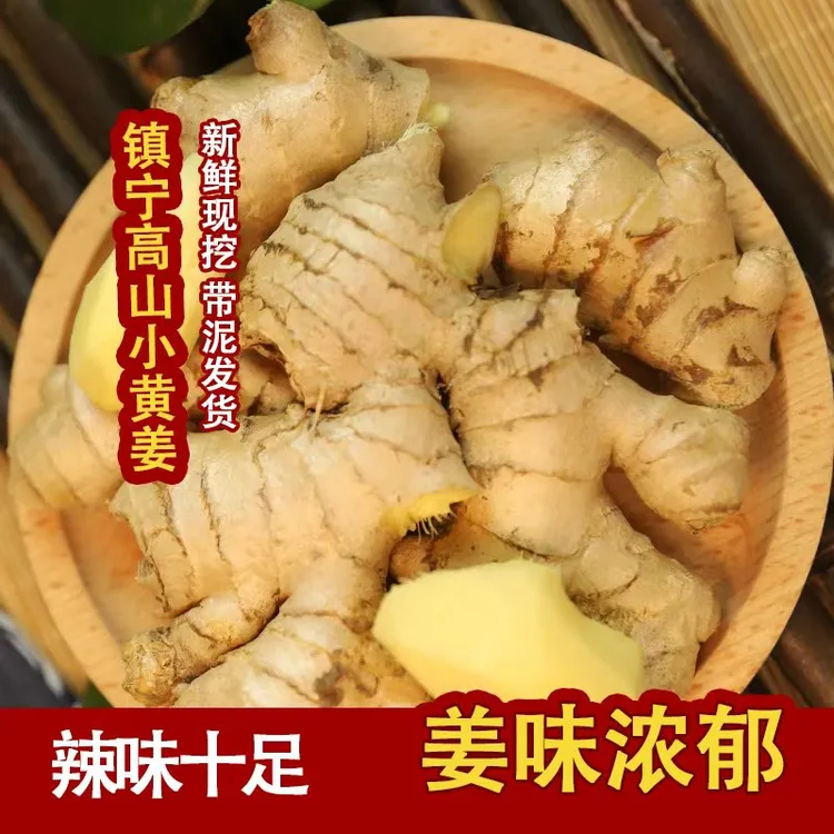 贵州小黄姜老姜生姜新鲜黄姜土姜现挖二年老姜2