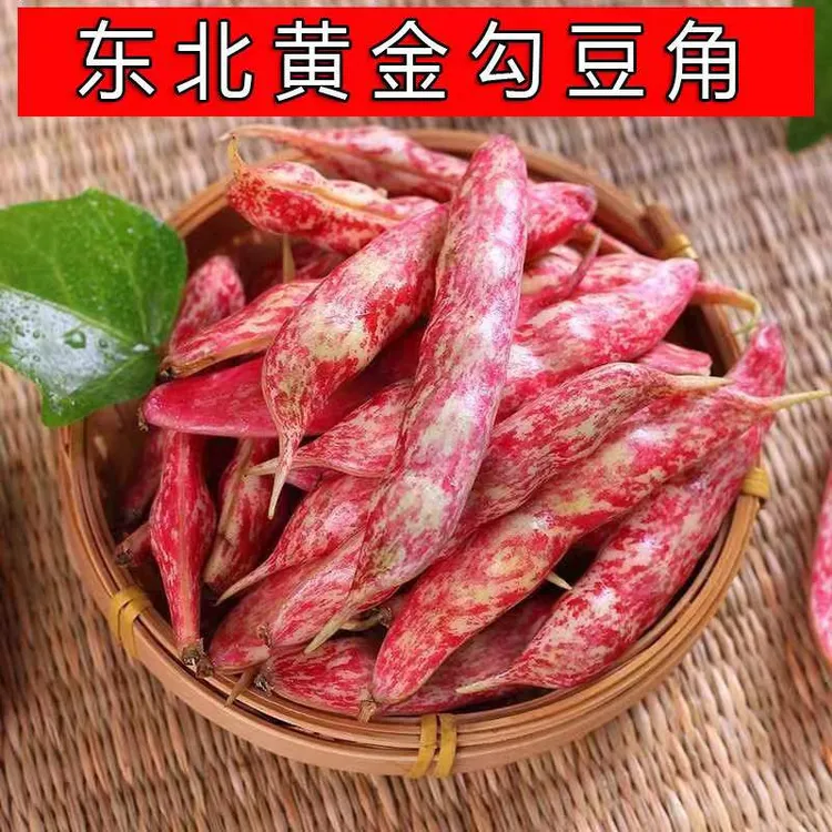 【油豆角】东北黄金勾豆角新鲜红花油豆红金钩面豆1斤2斤5斤包邮