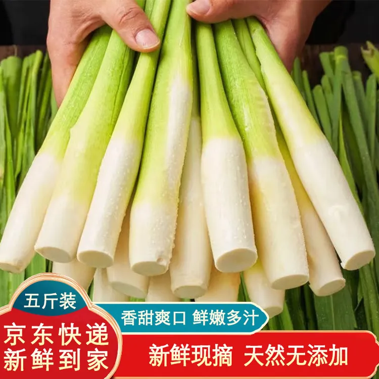 时鲜青浦练塘新鲜茭白 现采现发 京东快递 