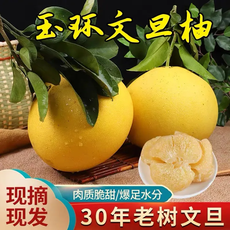 浙江玉环文旦柚水嫩多汁新鲜饱满当季水果原产地直供