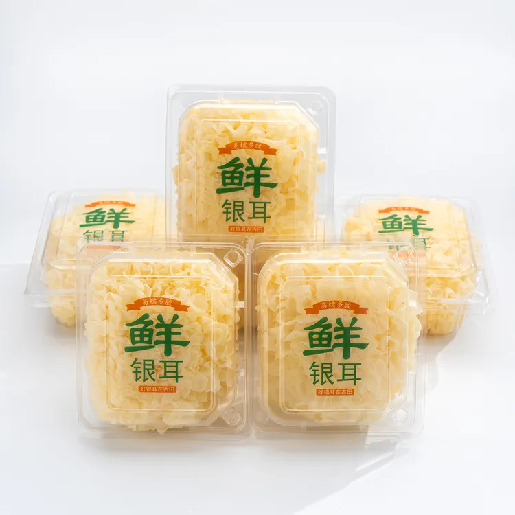 【顺丰直达 】 精选福建高山有机新鲜银耳古田鲜银耳鲜雪耳6朵720g
