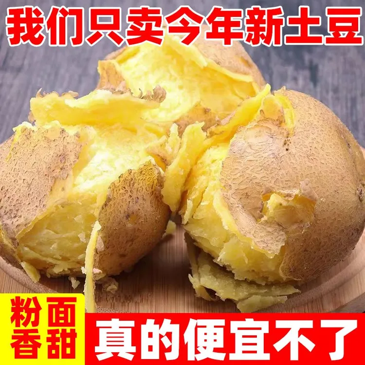 甘肃定西土豆2025新鲜黄皮黄芯沙面土豆 马铃薯 洋芋
