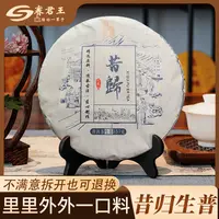 【画子白专属】昔归 生普