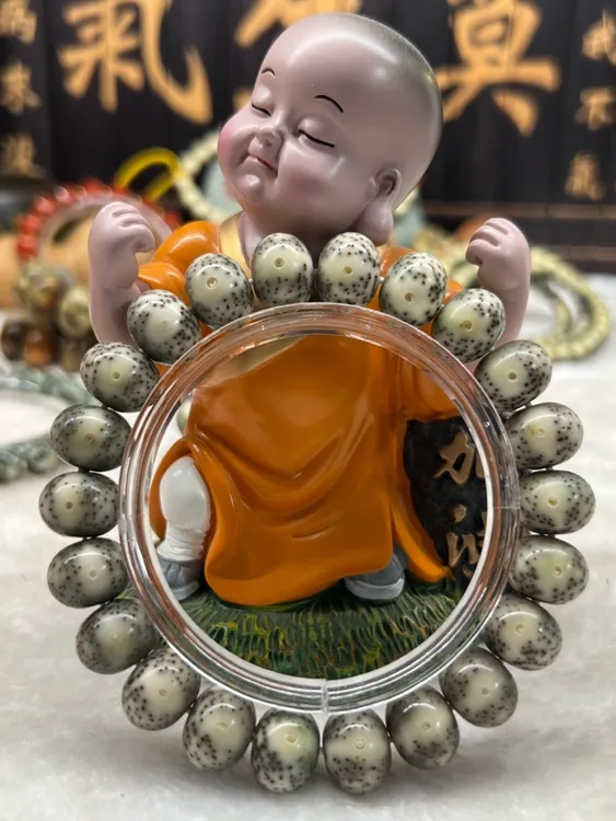 13一线天苹果海南原生态星月菩提