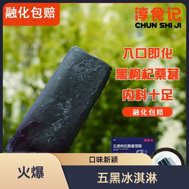 淳食记家庭版实惠装五黑冰淇淋黑桑葚枸杞口味新品上市