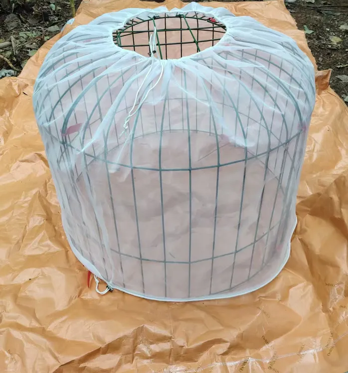 斗鸡蚊帐打鸡蚊帐罩鸡笼专用