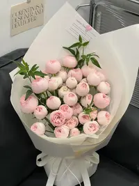 酷皮--多头玫瑰-（实物以直播间展示为准）