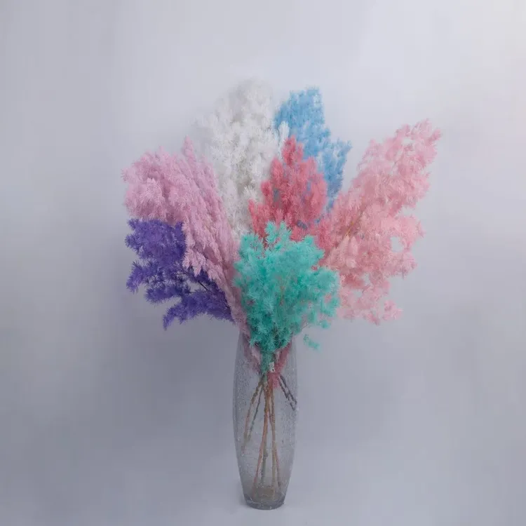 永生蓬莱松高端花材用于手工插花和节日送礼