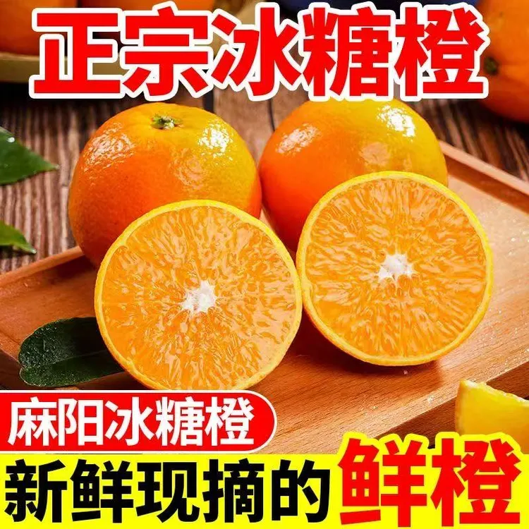 Z2【现摘速发】正宗湖南麻阳冰糖橙应季新鲜水果手剥橙子爆甜多汁