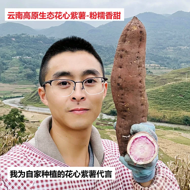 云南花心紫薯冰淇淋红薯粉糯香甜番薯地瓜轻食辅食粗粮1斤包邮