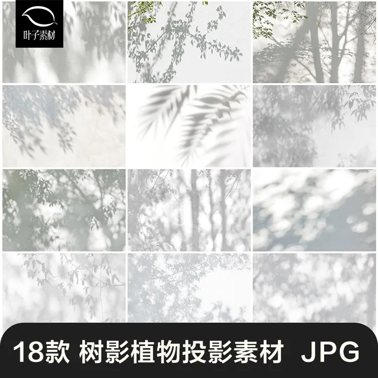 树影植物投影光影投影阴影图片海报背景后期叠加合成设计素材JPG
