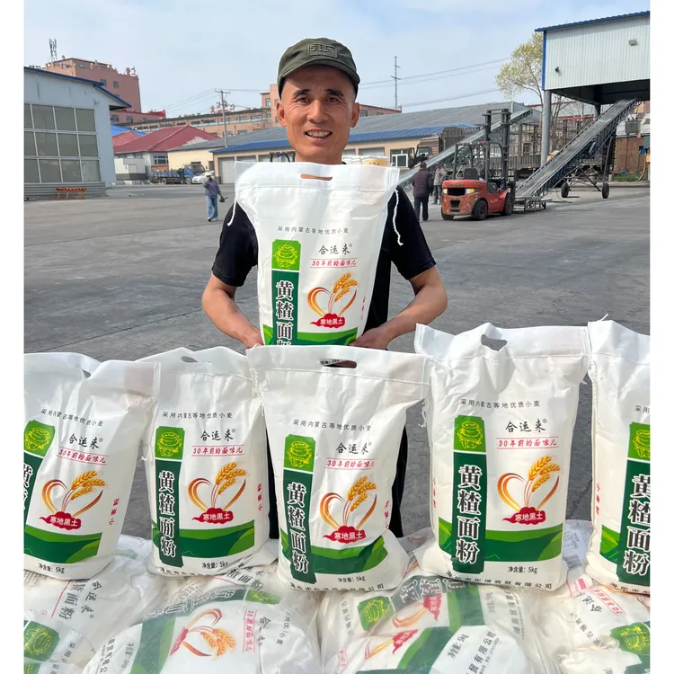 【大勇专属】东北黄茬小麦面粉10斤面香劲道馒头饺子粉面条多用家用