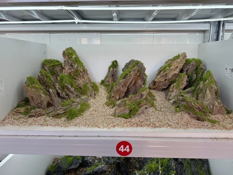 山水创意景观生态缸松皮石造景