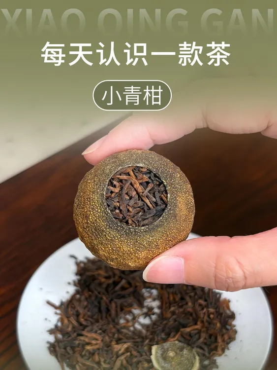 正宗生晒小青柑普洱茶新会陈皮普洱茶熟茶叶罐装