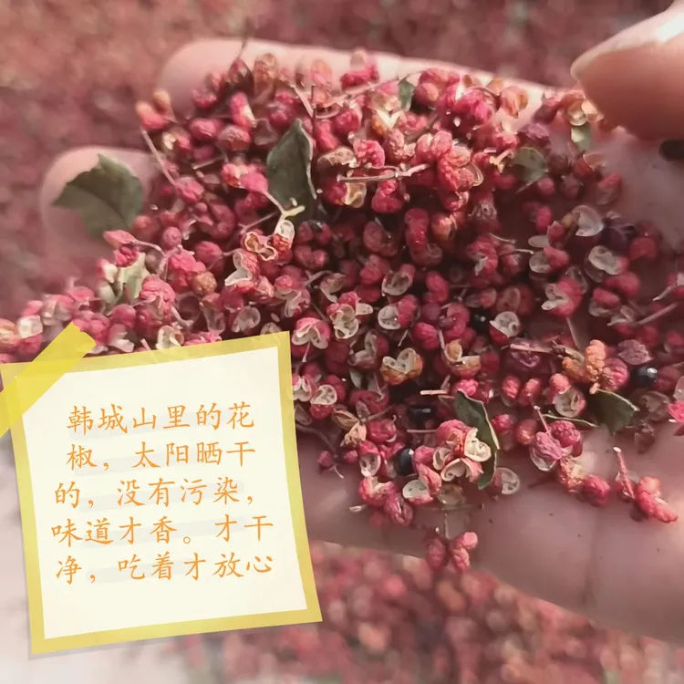 2025年韩城高标准严选特麻特香新花椒香味浓麻味重100/250/500克