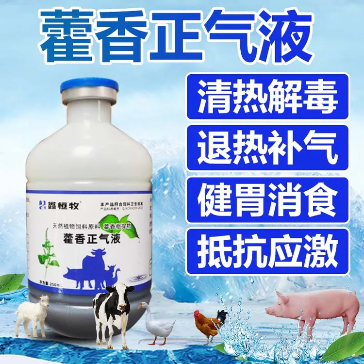 鑫恒牧藿香正气液畜盒夏季用猪牛羊鸡大免狗冰爽VC孕畜饲料添加剂