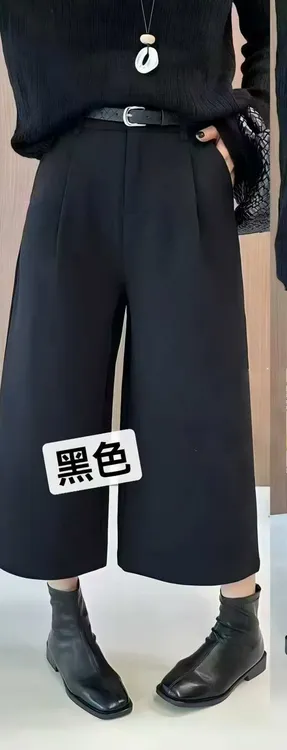 25-79 秋季女士时尚百搭阔腿休闲裤 F158