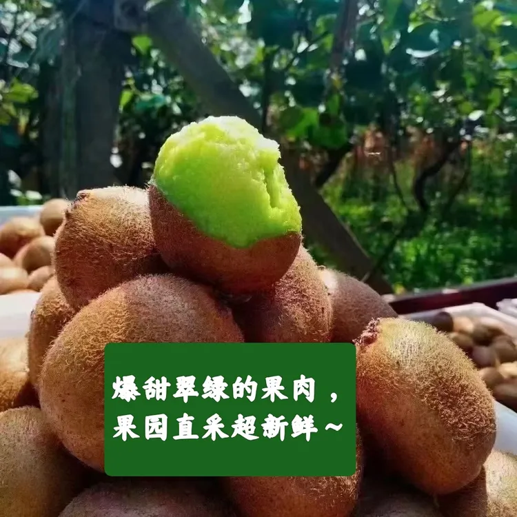 精品礼盒5斤包装正宗绿心猕猴桃新鲜香甜多汁当季水果批发