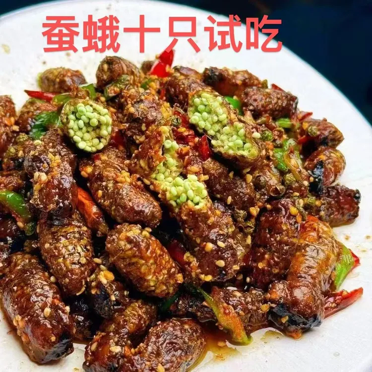 蚕蛾 母蚕蛾（10只试吃）