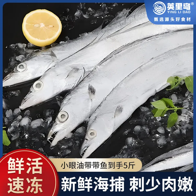 新鲜速冻带鱼 肉质细嫩带箱5斤