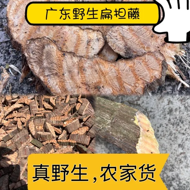 深山野生扁担藤扁担风背带藤扁藤过江扁龙野生晒干精品包邮腰带藤