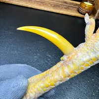 文玩鸡爪骨手把件（单只带护甲 处理好十天左右发货）