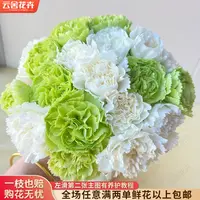 【云舍花卉】【薄荷冰】康乃馨 全场任意满两单及以上鲜花包邮发货