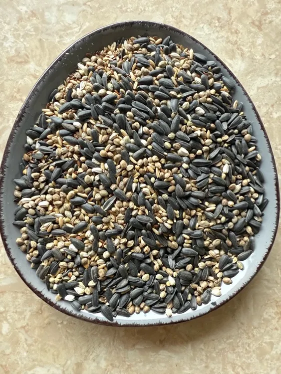 【张张喜推荐】自用自配小太金太/和尚凯克精品鹦鹉粮