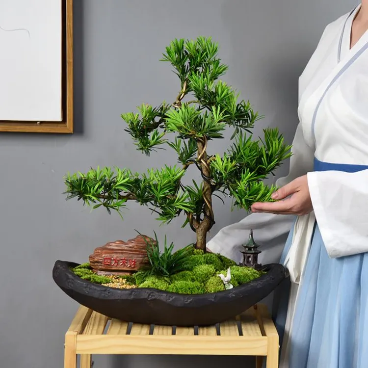 造型罗汉松盆景室内植物桌面观赏中式绿植盆栽办公好养摆件送礼