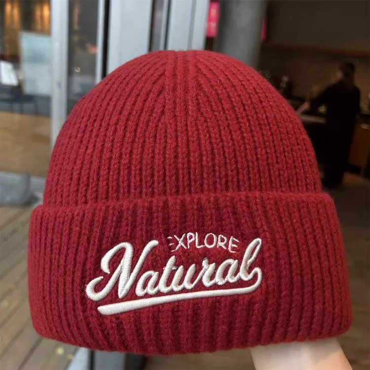 2025秋冬季新款红色圣诞礼物保暖防寒氛围感针织韩系百搭毛线帽女