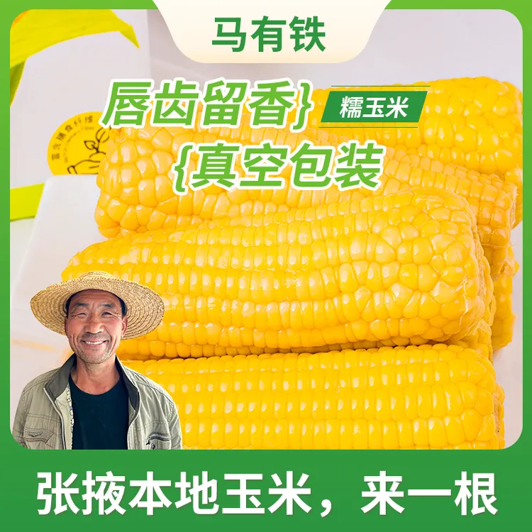 新糯玉米黄糯玉米白糯玉米杂粮早餐