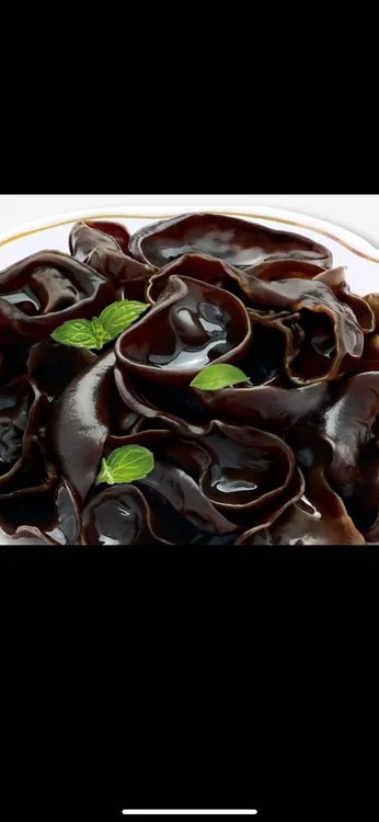 东北头茬秋木耳无根肉厚