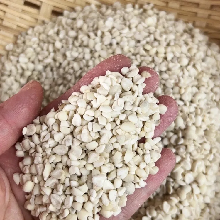 农家优质糯薏米营养美味