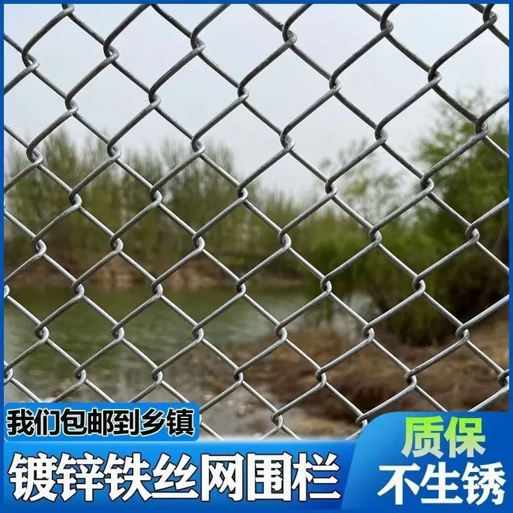 热镀锌铁丝网围栏果园养殖防护钢丝网养鸡养狗不生锈勾花网格栏网