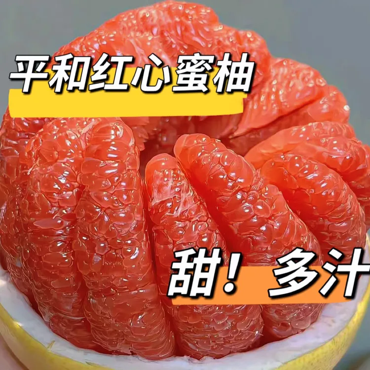 正宗福建琯溪红柚新鲜采摘应季水果鲜嫩多汁老树现采摘