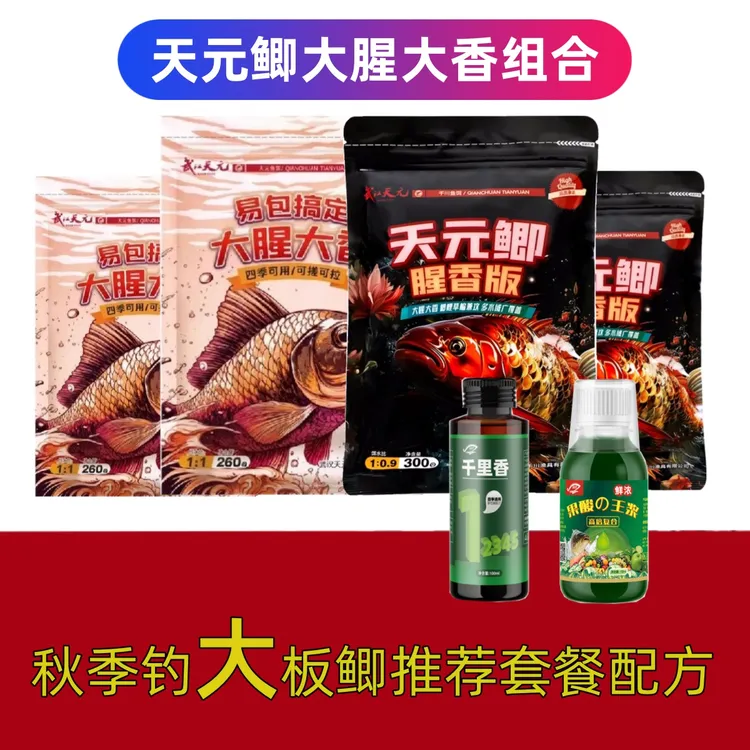 大腥大香邓刚易包搞定鱼饵正品鱼饵料秋冬季钓鱼配方千里香综合饵