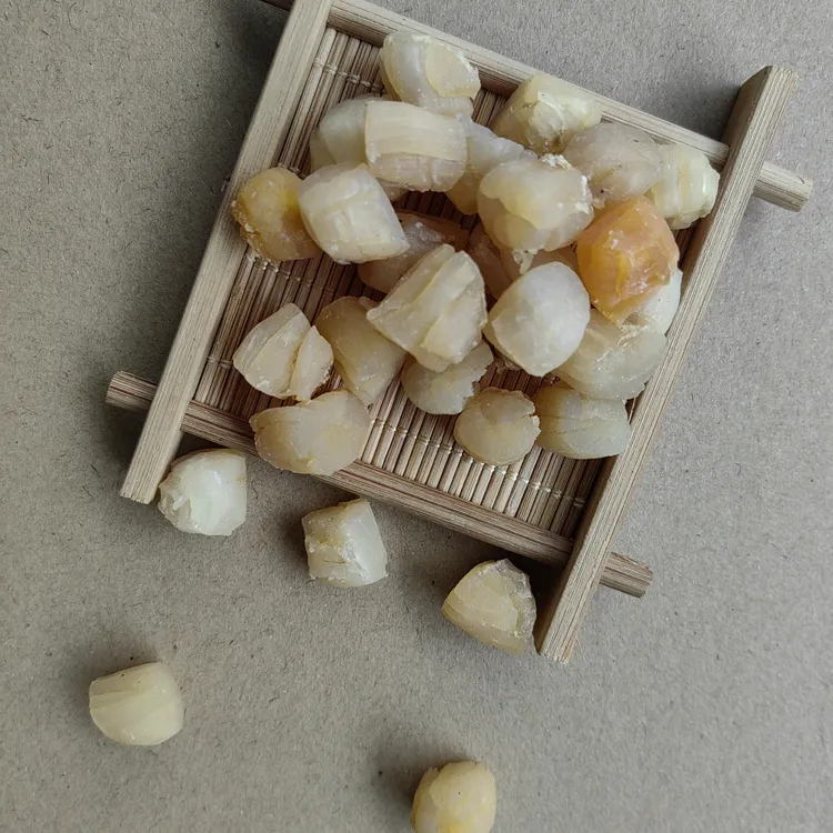 湛江瑶柱干贝煲粥煲汤提鲜250-500g